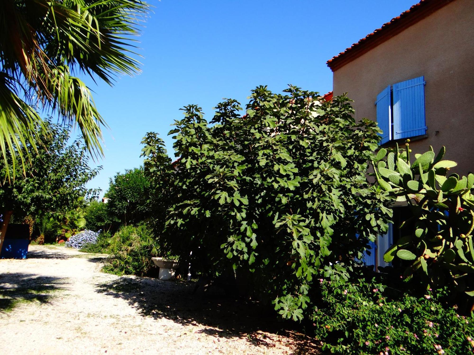 Residence L'Orangeraie-2-Claira 66530 エクステリア 写真